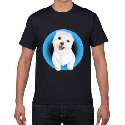 Premium Cotton - Maltese Blue Thumbnail