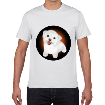 Premium Cotton - Maltese  Thumbnail