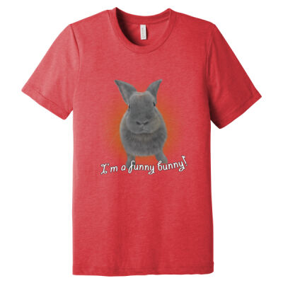 Unisex Triblend - Funny Bunny Thumbnail
