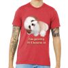Unisex Triblend Tee (same day) Thumbnail
