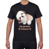 Gildan Premium Cotton Tee (Same Day) Thumbnail
